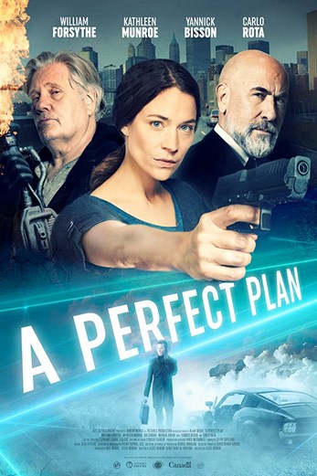 دانلود فیلم A Perfect Plan 2020