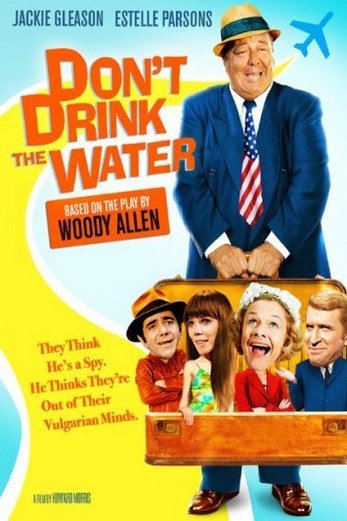 دانلود فیلم Dont Drink the Water 1969