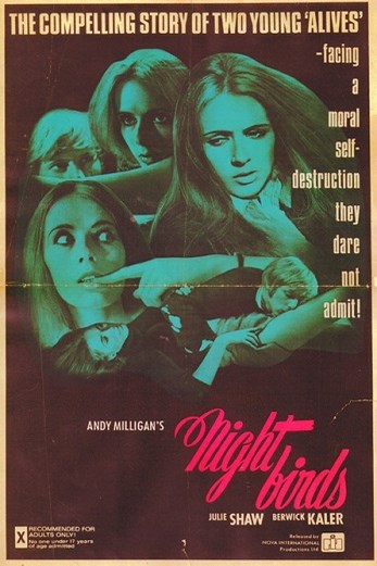 دانلود فیلم Nightbirds 1970