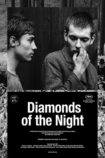 دانلود فیلم Diamonds of the Night 1964