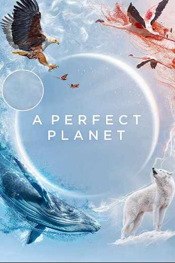 دانلود سریال A Perfect Planet 2021 دوبله فارسی