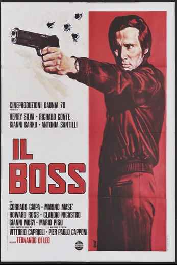 دانلود فیلم The Boss 1973