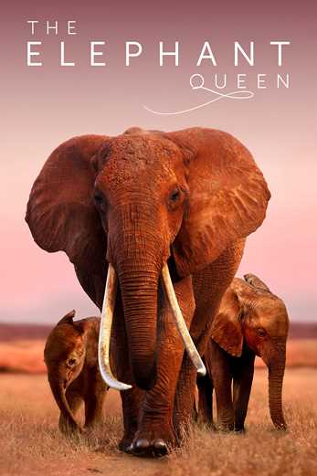 دانلود فیلم The Elephant Queen 2018 زیرنویس چسبیده