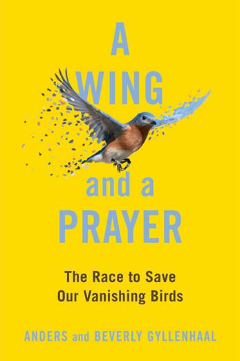 دانلود فیلم On a Wing and a Prayer 2023 دوبله فارسی